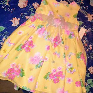 NWT VIntage Chiffon WonderKid Dress, 24m